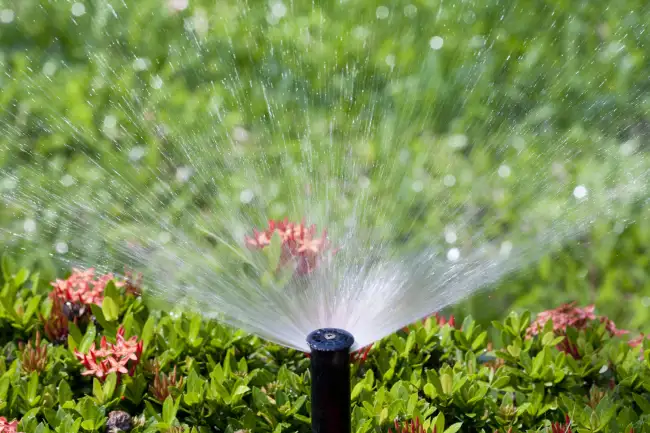 Lawn Irrigation Installation