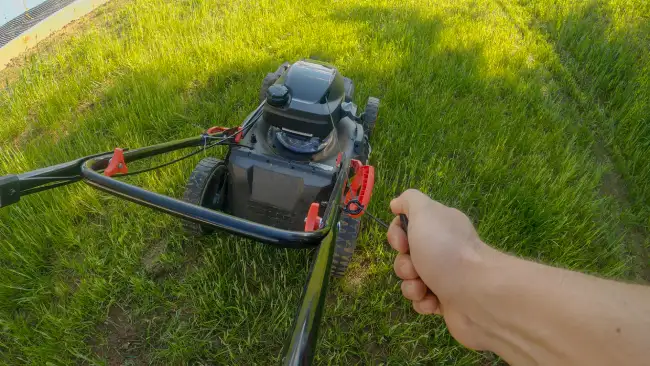 Can you mow wet grass in Norwalk, CT