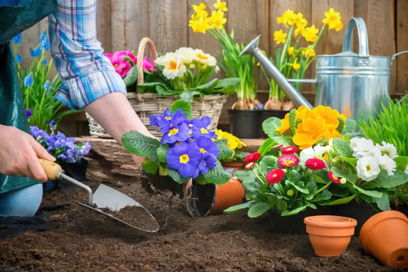 How long does mulch last in Norwalk, CT