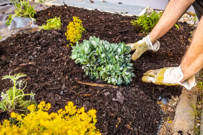 How long does mulch last in Norwalk, CT