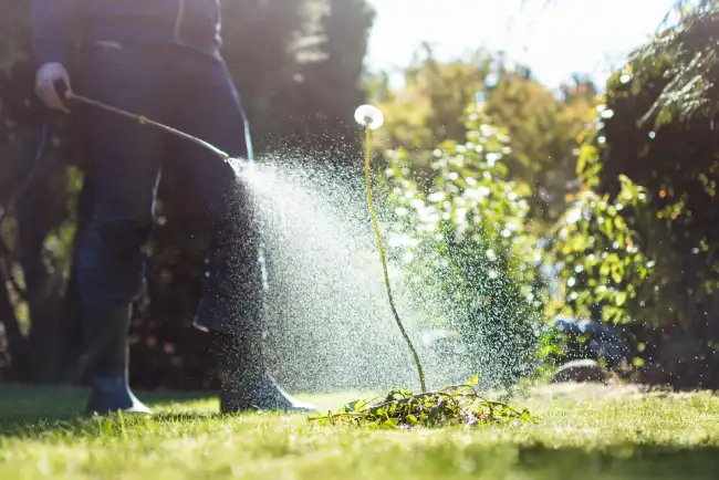 How often should you fertilize your lawn in Norwalk, CT