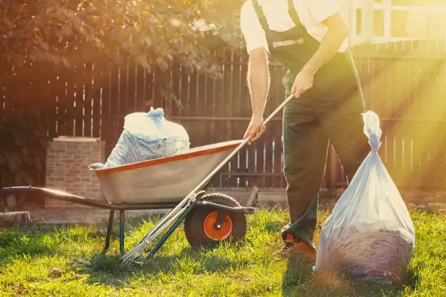 How to clear a yard full of weeds in in Norwalk, CT