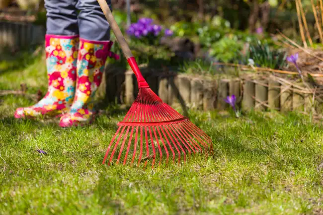 How to clear a yard full of weeds in in Norwalk, CT