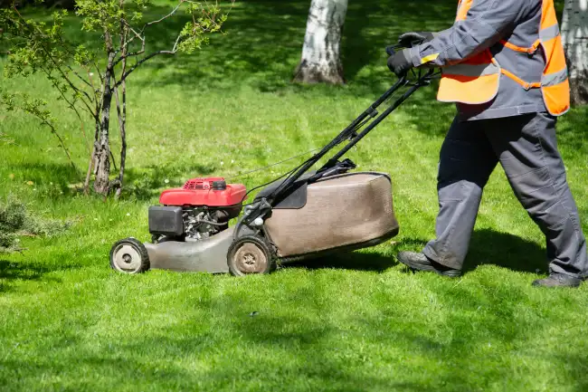 Reliable lawn mowing in Norwalk, CT