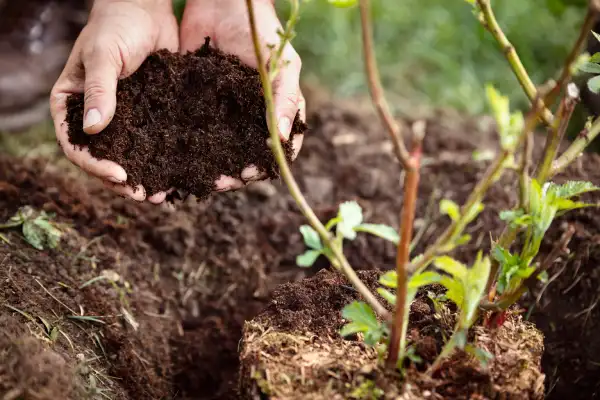 Affordable mulching in Norwalk, CT