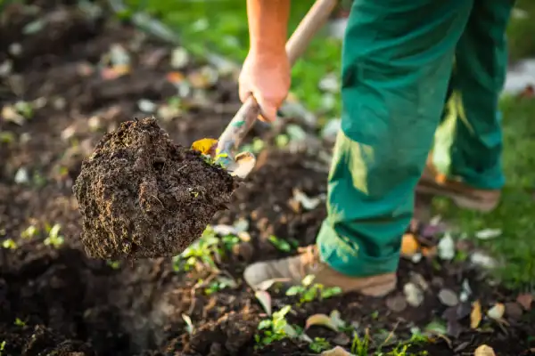 Professional mulching in Norwalk, CT