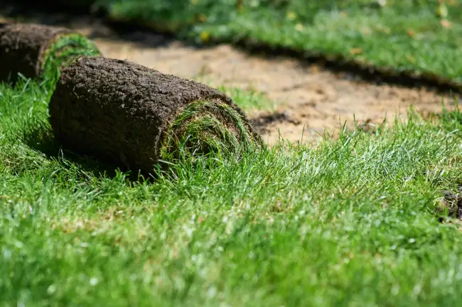 Reliable sod installation in Norwalk, CT