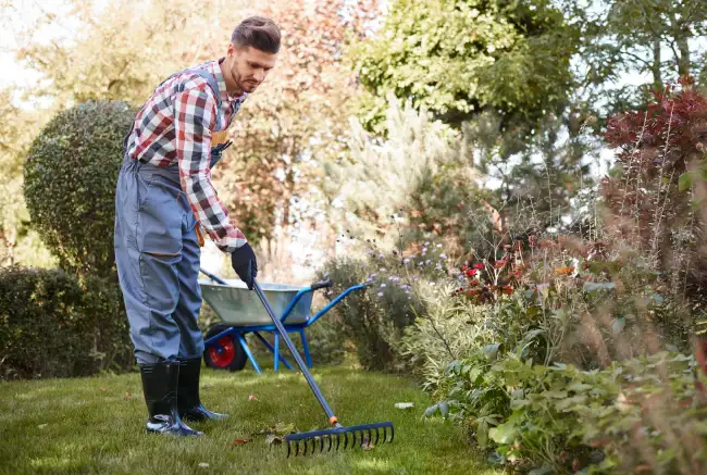 Professional yard cleanup in Norwalk, CT