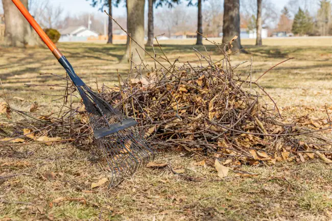 Affordable yard cleanup in Norwalk, CT