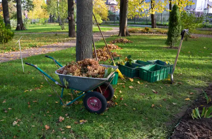 Reliable yard cleanup in Norwalk, CT